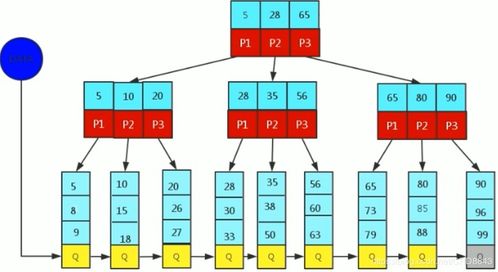 數(shù)據(jù)庫(kù)高級(jí)特性 索引、視圖、存儲(chǔ)函數(shù)及數(shù)據(jù)處理服務(wù)
