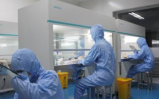 鏈科技咨詢 耐高溫新品種“青西1號”新鮮來襲