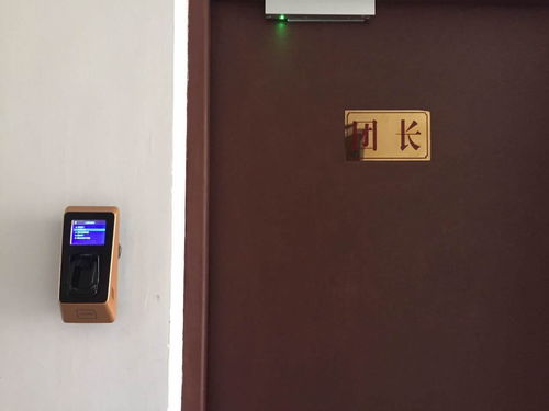 指靜脈識別技術 基本知識手冊與老化風險解析